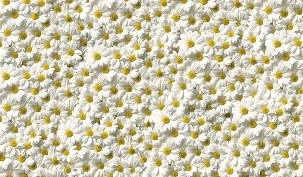 Стол обеденный Прямоугольный 1200х700 фп Ромашки Д006 ЛДСП серый_2