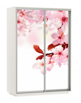 Шкаф-купе двухдверный Экспресс Дуо 1600х2200h Сакура/Белый снег_0