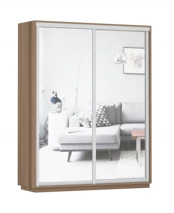 Шкаф-купе двухдверный Экспресс Дуо Экспенс 1600х2400х Ясень шимо тёмный / 1600х2400h_0