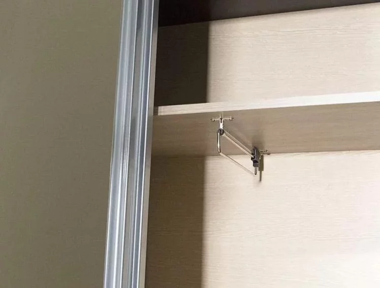 Шкаф-купе с зеркалом Ольга 10 Ясень шимо светлый Венге_2