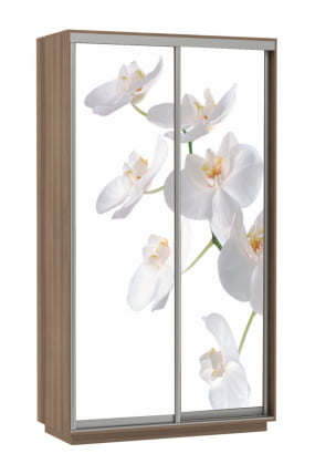 Шкаф-купе двухдверный Экспресс Дуо 1200х2200h Орхидея белая/Ясень шимо тёмный_0