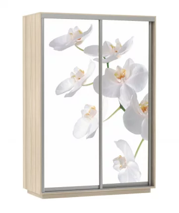 Шкаф-купе двухдверный Экспресс Дуо 1400х2400х Белая орхидея/Ясень шимо светлый / 1400х2400h_0