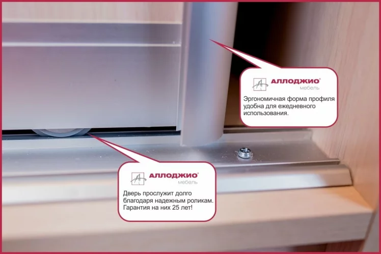 Шкаф-купе Хит-23-14-11 Аруба Венге_4