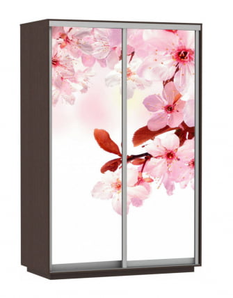 Шкаф-купе двухдверный Экспресс Дуо 1600х2400h Сакура/Венге_0