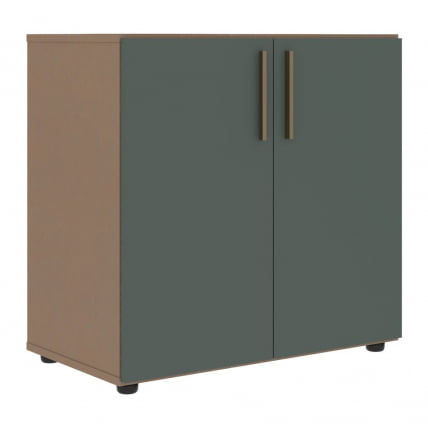Шкаф с глухими малыми дверьми VELION VLCS 80.1 Нефрит Кобра_0